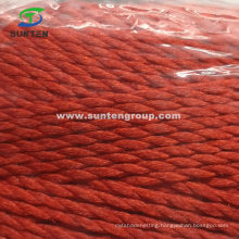 EU Standard Red High Tenacity PE/PP/Polyester/Nylon Plastic Twisted/Braided Multi-Filament/Baler/Thread/Packing Line/Fishing Net Twine (210D/380D) by Spool/Reel